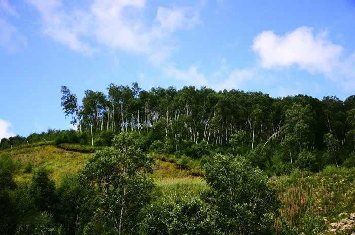 黄岗梁园区