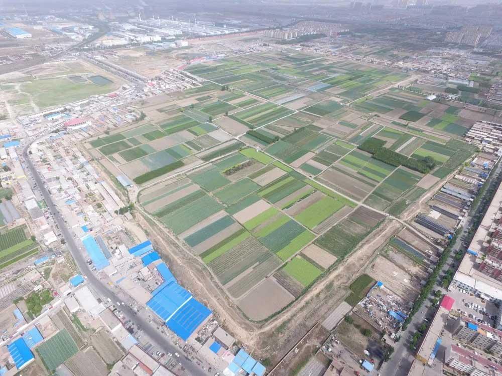 麻池古城航拍图